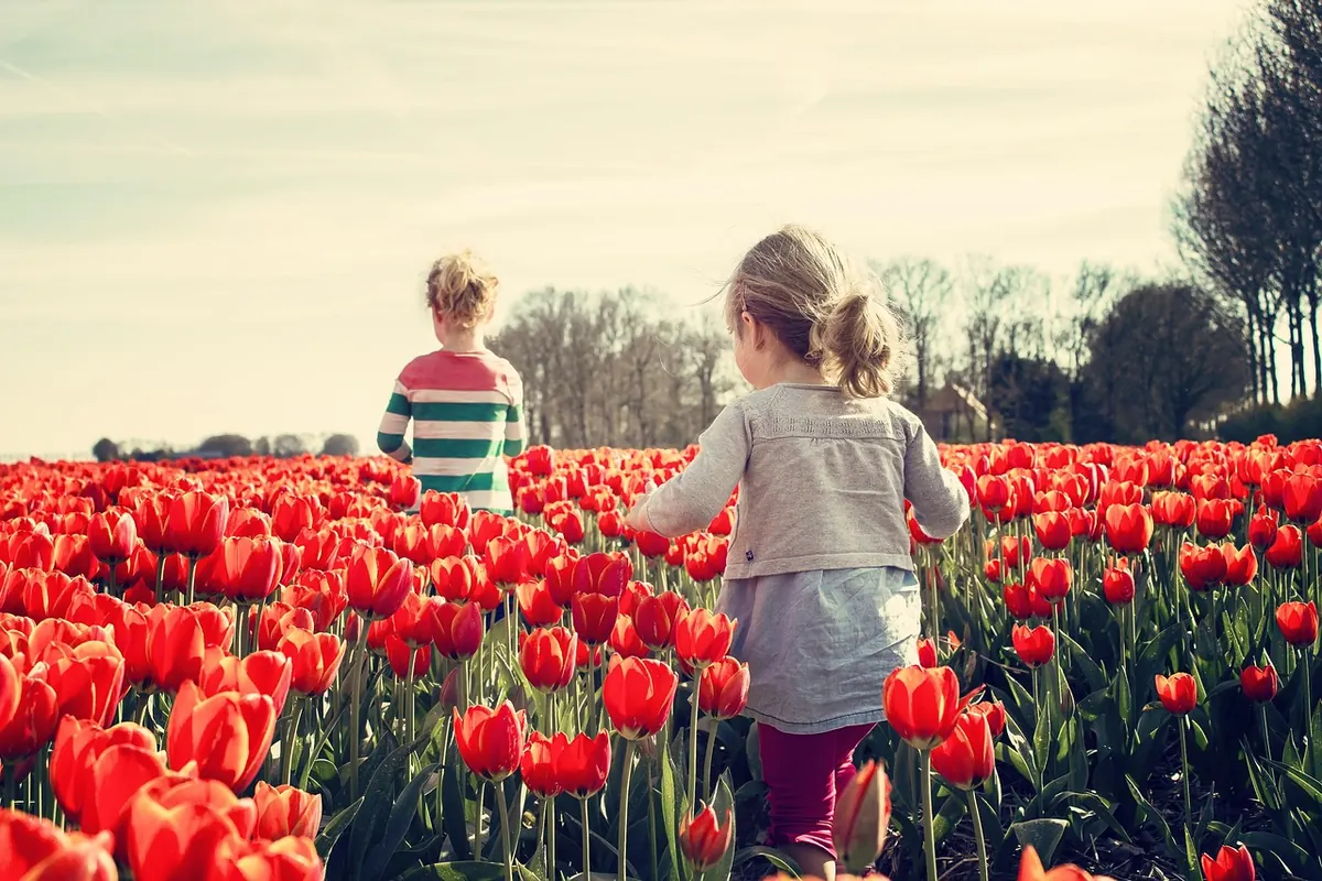 7 Common Tulip Growing Mistakes (And How to Avoid Them)